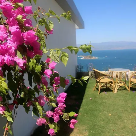 Bodrum Adabuku Luks 2+1 Ozel Plaj Ve Havuzlu * Bogazici